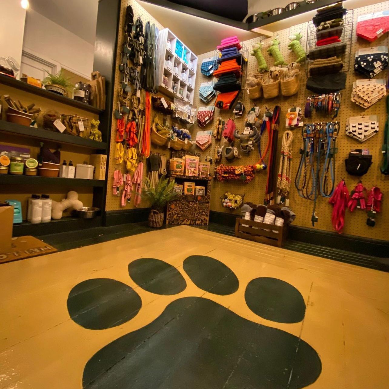 Dogg Club Perks - Pop In And See Us Today