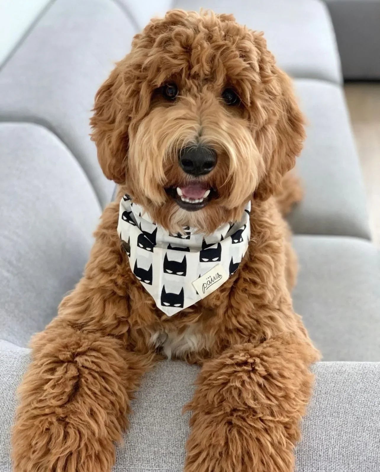 Batman sales dog bandana